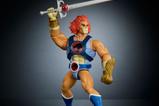 06-Masters-of-the-Universe-x-ThunderCats-Figura-Deluxe-LionO-14-cm.jpg