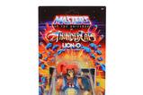 07-Masters-of-the-Universe-x-ThunderCats-Figura-Deluxe-LionO-14-cm.jpg