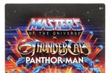 06-Masters-of-the-Universe-x-ThunderCats-Figura-Panthor-Man-14-cm.jpg