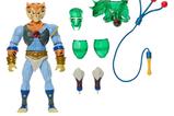 05-Masters-of-the-Universe-x-ThunderCats-Figura-Tygra-14-cm.jpg