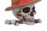 04-One-Piece-Bote-de-almacenamiento-Luffy-Jolly-Roger.jpg