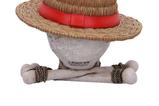 05-One-Piece-Bote-de-almacenamiento-Luffy-Jolly-Roger.jpg
