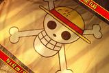 20-One-Piece-Caja-de-regalo-Kit-de-Reclutamiento.jpg