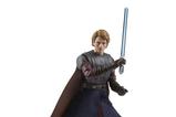 15-Pack-The-Journey-of-Anakin-Skywalker-Star-Wars-Vintage-Collection.jpg