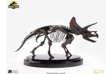 01-parque-jurasico-estatua-1-24-triceratops-fossil-skelet-0693338-heo-088b5828.jpg