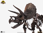 02-parque-jurasico-estatua-1-24-triceratops-fossil-skelet-0693338-heo-088b5828.jpg