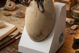 01-parque-jursico-iii-ecc-elite-creature-line-estatua-white-queen-hatching-egg-1.jpg
