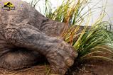 03-Parque-Jursico-Maquette-18-Sick-Triceratops-96-cm.jpg