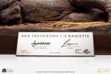 05-Parque-Jursico-Maquette-18-Sick-Triceratops-96-cm.jpg