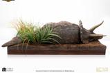 08-Parque-Jursico-Maquette-18-Sick-Triceratops-96-cm.jpg