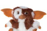01-pelu-gizmo2.jpg