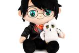 01-Peluche-Harry-Potter-y-Hedwig.jpg