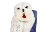01-Peluche-Hedwig-Harry-Potter-pbp.jpg
