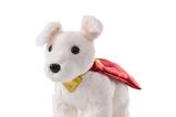 02-peluche-krypto.jpg