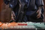 08-Predator-Set-de-Figuras-Sixth-Scale-Thia-and-Bud-29-cm.jpg