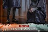 09-Predator-Set-de-Figuras-Sixth-Scale-Thia-and-Bud-29-cm.jpg