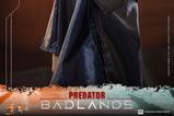 13-Predator-Set-de-Figuras-Sixth-Scale-Thia-and-Bud-29-cm.jpg