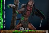 04-Prey-Figura-16-Feral-Predator-Battle-Damaged-Version-37-cm.jpg