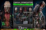 17-Prey-Figura-16-Feral-Predator-Battle-Damaged-Version-37-cm.jpg