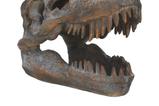 02-replica-craneo-tyrannosaurus-rex.jpg