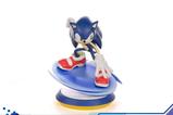 01-SEGA-Resin-Estatua-Sonic-the-Hedgehog-245-cm.jpg