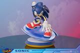 05-SEGA-Resin-Estatua-Sonic-the-Hedgehog-245-cm.jpg
