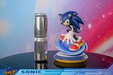 13-SEGA-Resin-Estatua-Sonic-the-Hedgehog-245-cm.jpg