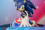 18-SEGA-Resin-Estatua-Sonic-the-Hedgehog-245-cm.jpg