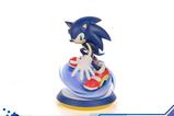 22-SEGA-Resin-Estatua-Sonic-the-Hedgehog-245-cm.jpg