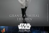 09-Star-Wars-Ahsoka-Figura-16-Grand-Admiral-Thrawn-32-cm.jpg