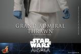 13-Star-Wars-Ahsoka-Figura-16-Grand-Admiral-Thrawn-32-cm.jpg
