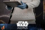 16-Star-Wars-Ahsoka-Figura-16-Grand-Admiral-Thrawn-32-cm.jpg