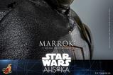 15-Star-Wars-Ahsoka-Figura-16-Marrok-31-cm.jpg