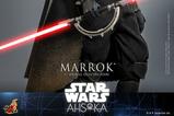 17-Star-Wars-Ahsoka-Figura-16-Marrok-31-cm.jpg