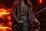 01-Star-Wars-Episode-III-Busto-16-Dark-Anakin-Skywalker-2022-Premier-Guild-Membe.jpg