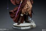 08-star-wars-episode-iii-estatua-premium-format-mace-windu-53-cm.jpg