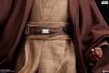 16-star-wars-episode-iii-estatua-premium-format-mace-windu-53-cm.jpg