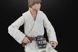 02-star-wars-episode-iv-black-series-figura-luke-skywalker-15-cm.jpg