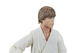 06-star-wars-episode-iv-black-series-figura-luke-skywalker-15-cm.jpg