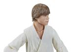 09-Star-Wars-Episode-IV-Black-Series-Figura-Luke-Skywalker-15-cm.jpg