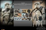 03-Star-Wars-Episode-IV-Figura-16-Sandtrooper-Sergeant-30-cm.jpg