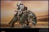 08-Star-Wars-Episode-IV-Figura-16-Sandtrooper-Sergeant-30-cm.jpg