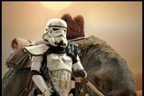 10-Star-Wars-Episode-IV-Figura-16-Sandtrooper-Sergeant-30-cm.jpg