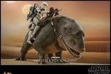 12-Star-Wars-Episode-IV-Figura-16-Sandtrooper-Sergeant-30-cm.jpg