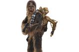 01-Star-Wars-Episode-V-Figura-Movie-Masterpiece-16-Chewbacca-with-Disassembled-C.jpg