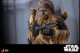 14-Star-Wars-Episode-V-Figura-Movie-Masterpiece-16-Chewbacca-with-Disassembled-C.jpg