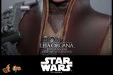 03-Star-Wars-Episode-VI-Figura-Movie-Masterpiece-16-Leia-Organa-Boushh-Disguise.jpg