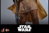 04-Star-Wars-Episode-VI-Figura-Movie-Masterpiece-16-Leia-Organa-Boushh-Disguise.jpg