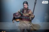 06-Star-Wars-Episode-VI-Figura-Movie-Masterpiece-16-Leia-Organa-Boushh-Disguise.jpg