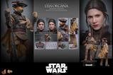 16-Star-Wars-Episode-VI-Figura-Movie-Masterpiece-16-Leia-Organa-Boushh-Disguise.jpg